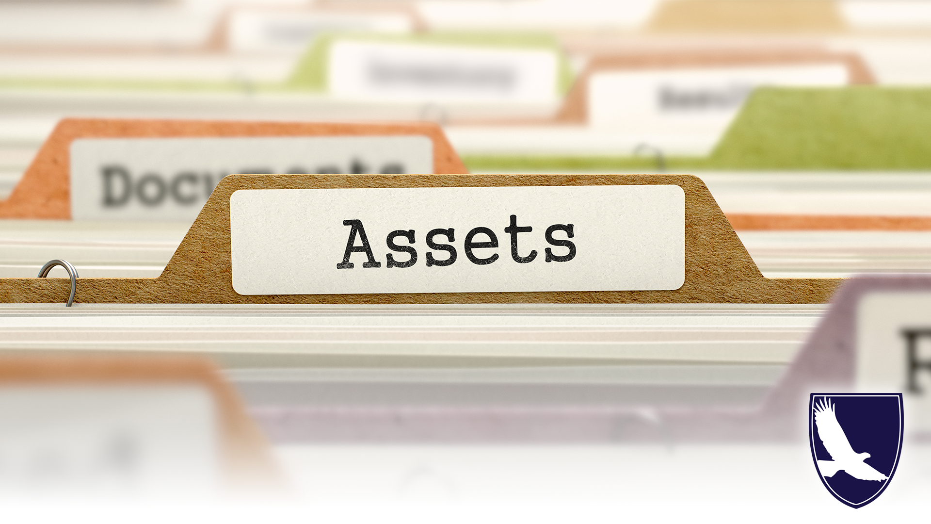 Files with the center file type being Assets